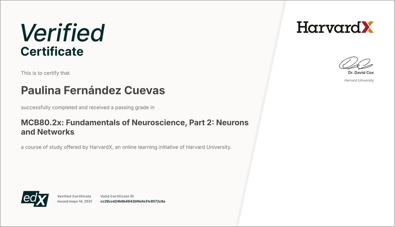 Paulina Fernández Cuevas-3