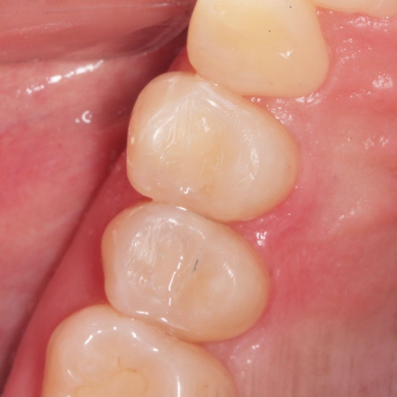 María Guadalupe García Figueroa-3