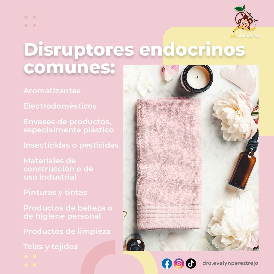 Evelyn Perez Trejo-42