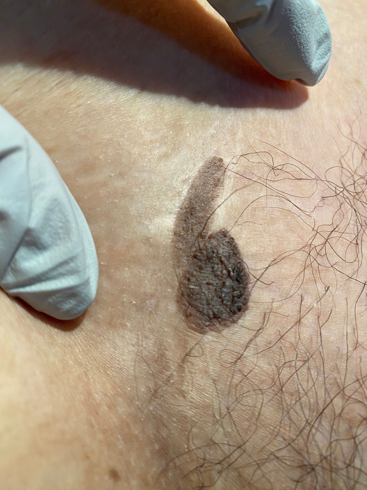 Lilia Gutierrez Franco-5