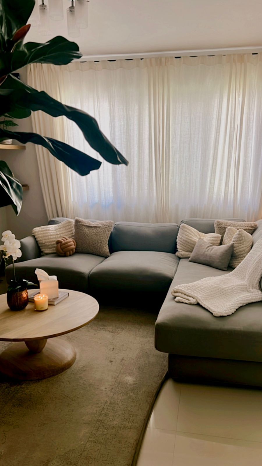 Ana Marcela Albores Rodriguez-2