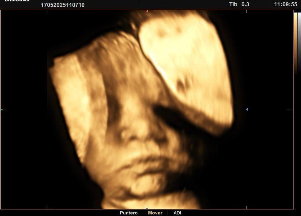 Vania Andrea Ramírez González-2