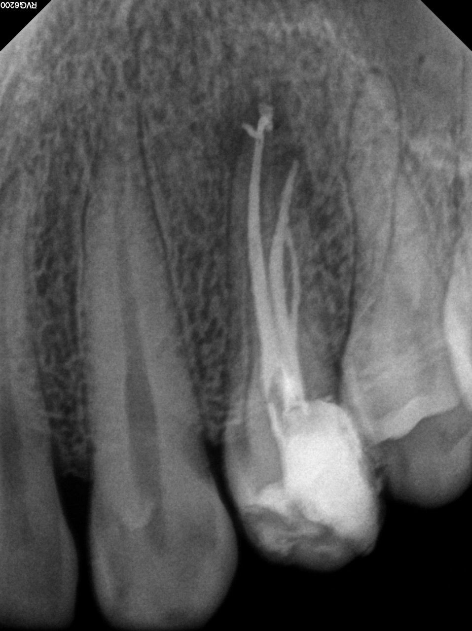 Andrea Torres Peña-2