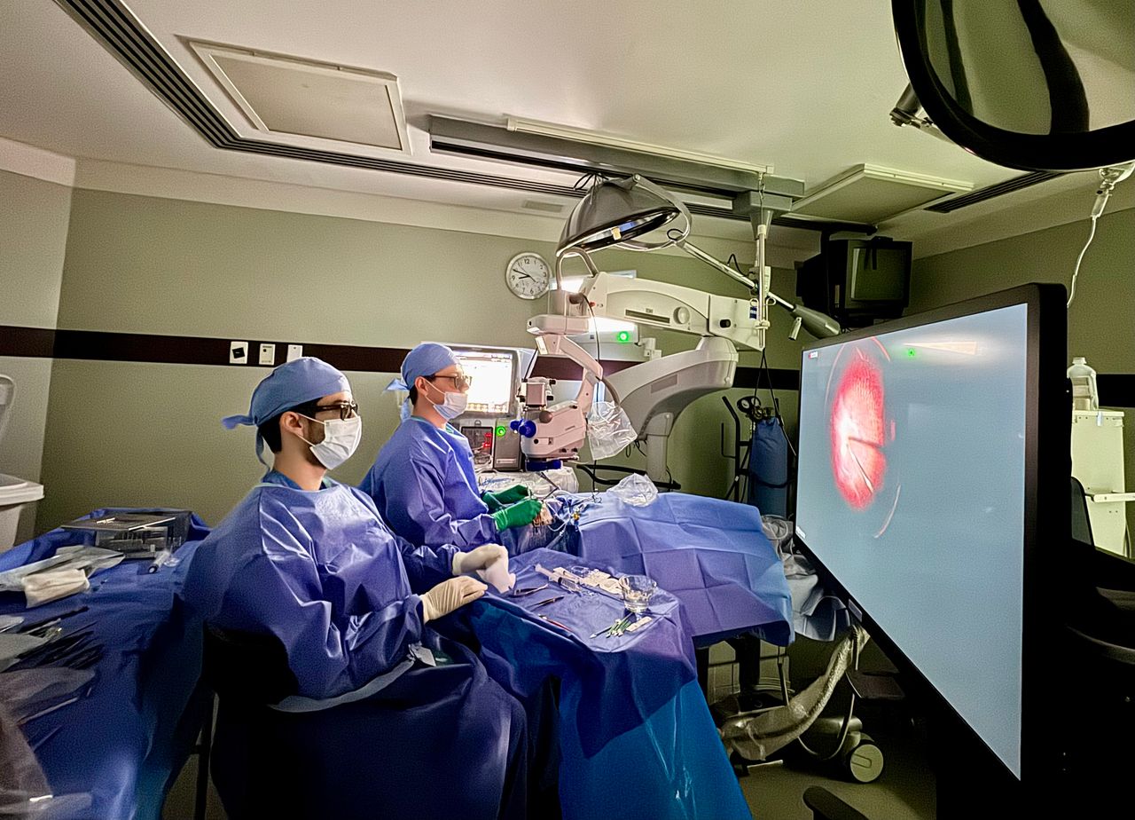 Daniel Cortes Muñoz-0