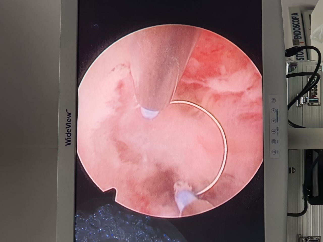 Nancy L. Roman Estrada-57