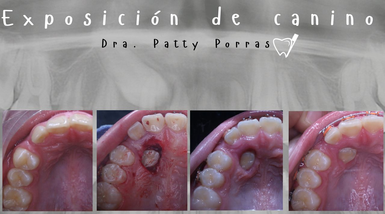 Patricia Porras Domínguez-17