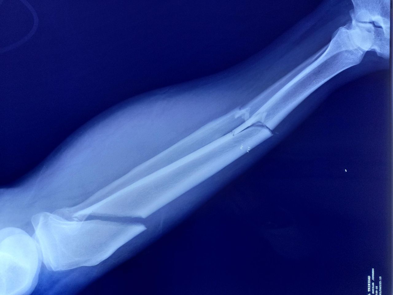 Mayem Berenice González Fajardo-2