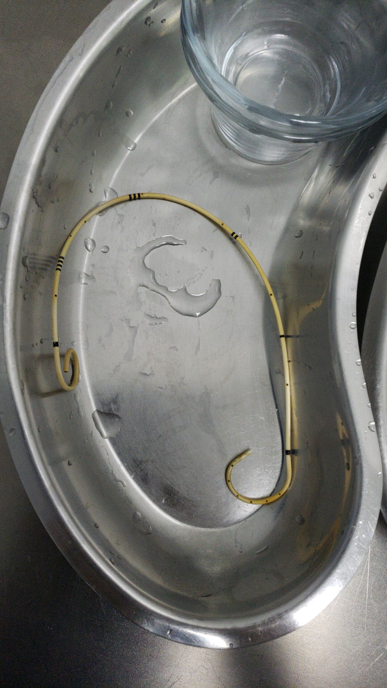 Gerardo Rodrigo Lemus Mena-11