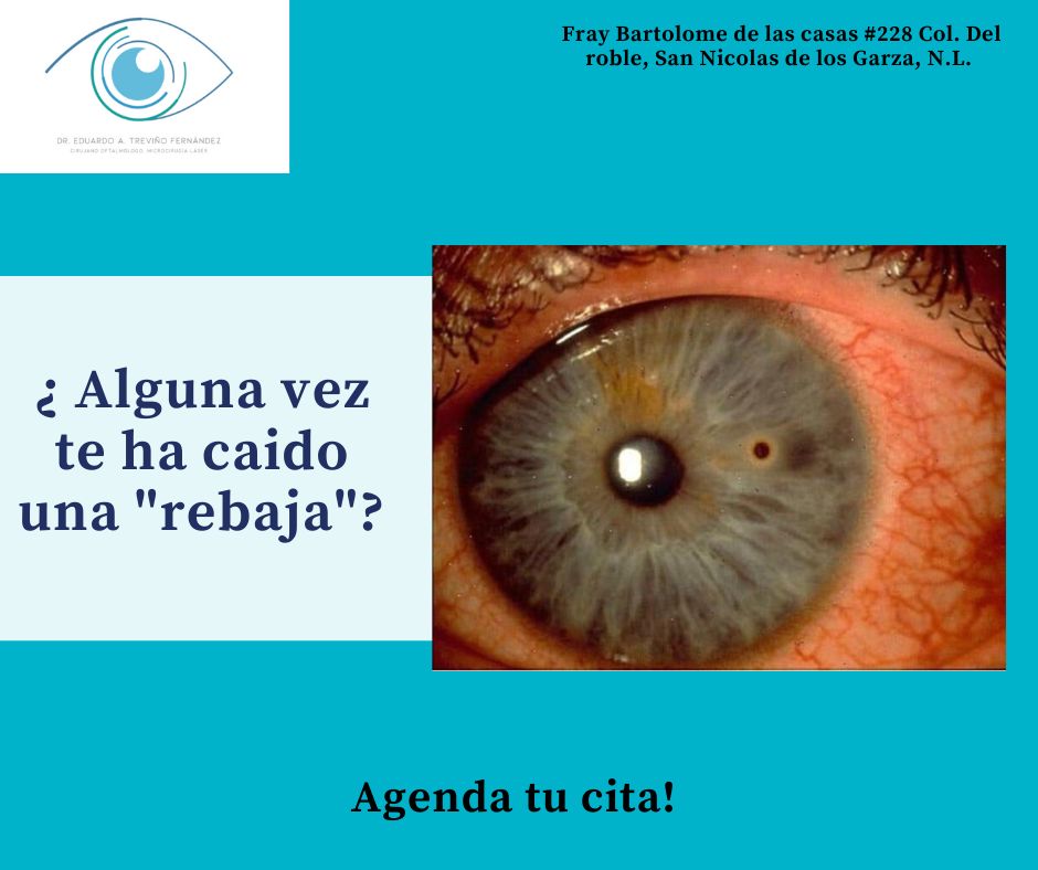 Eduardo Alejandro Treviño Fernández-4