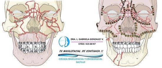 Laura Gabriela González Valdéz-53
