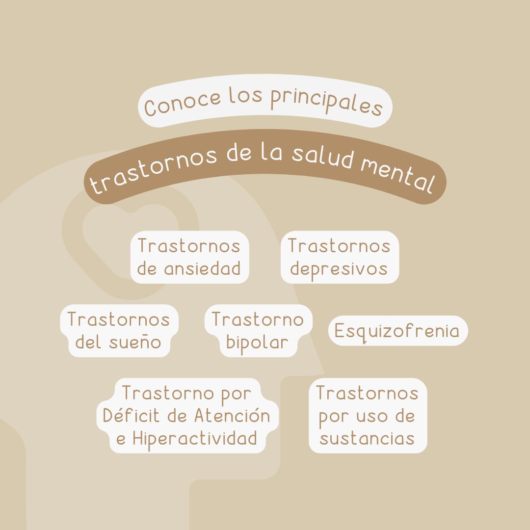 Evangelina Suverza Fernández-4