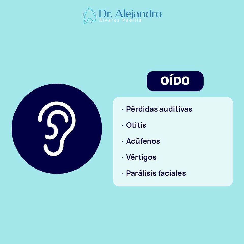 Alejandro Alvarez Padilla-17