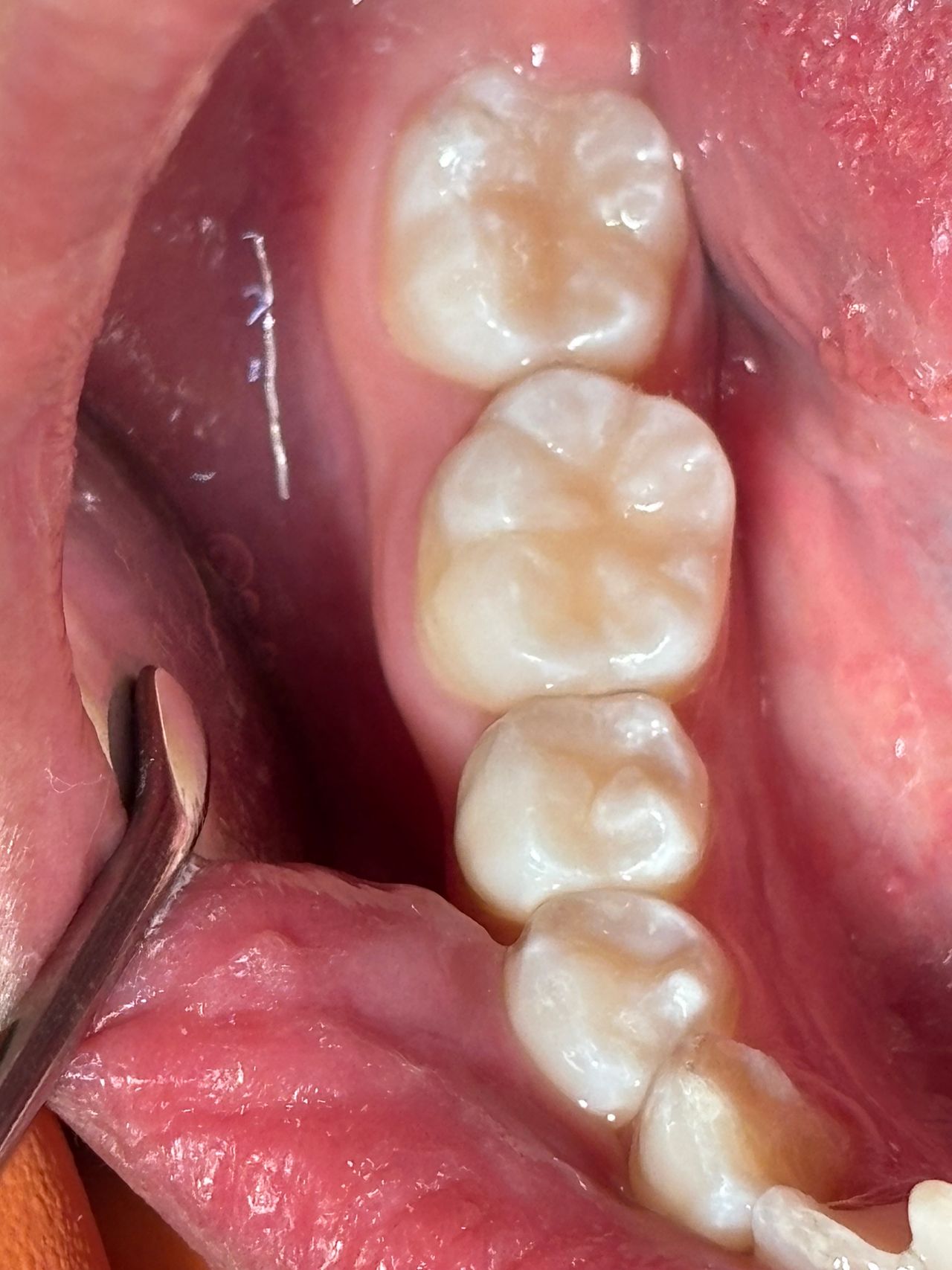 María Paula  Flores Novoa-91