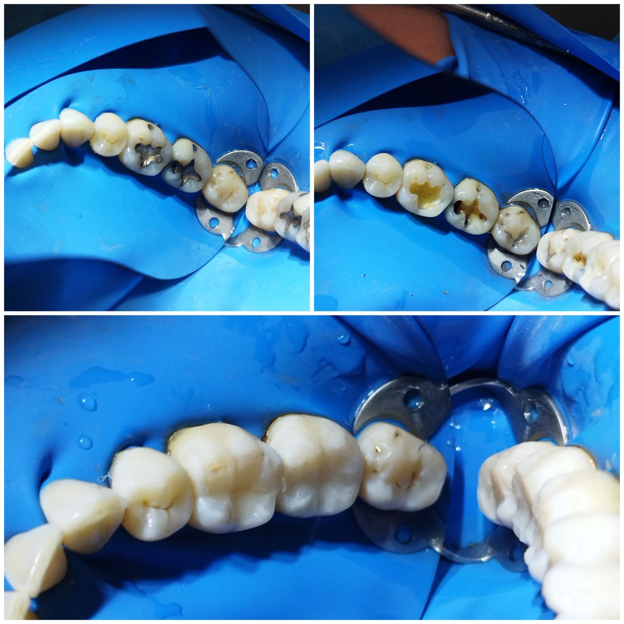 Maribel Domínguez G.-6