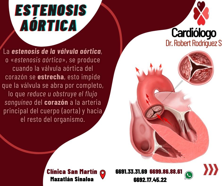 Robert Rodriguez Sanchez-3