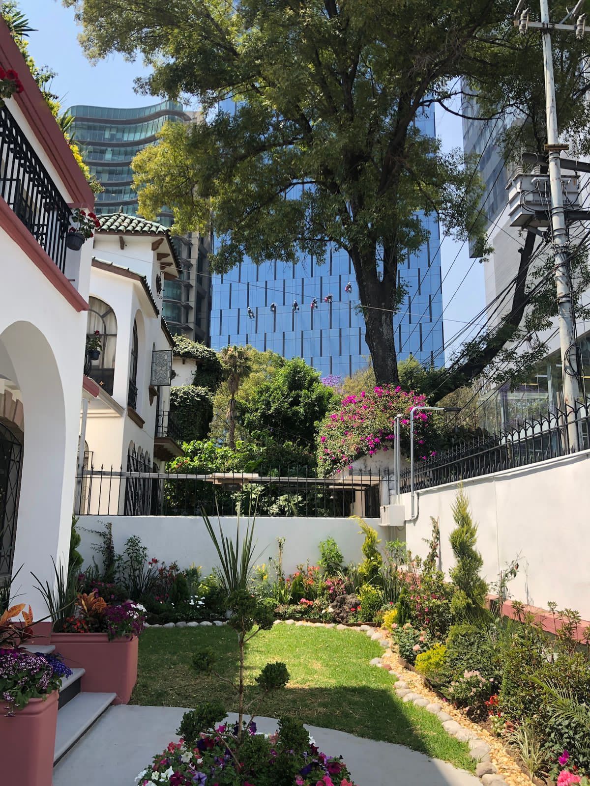 Lizette Padilla Miranda-3