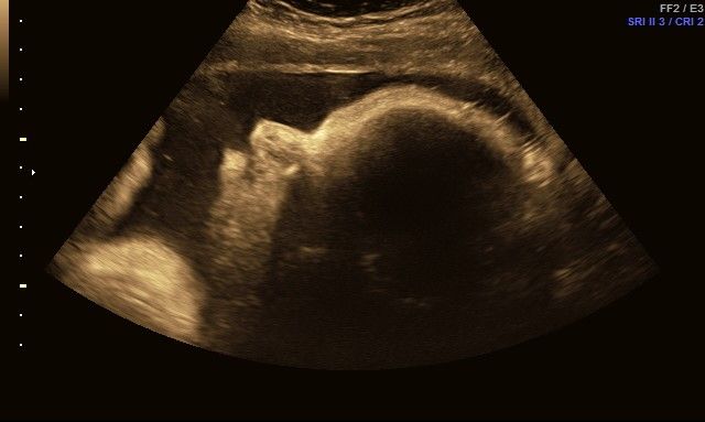 Elizabeth Valdez Lara-4