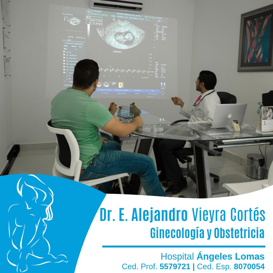 Edmundo Alejandro Vieyra Cortes-7