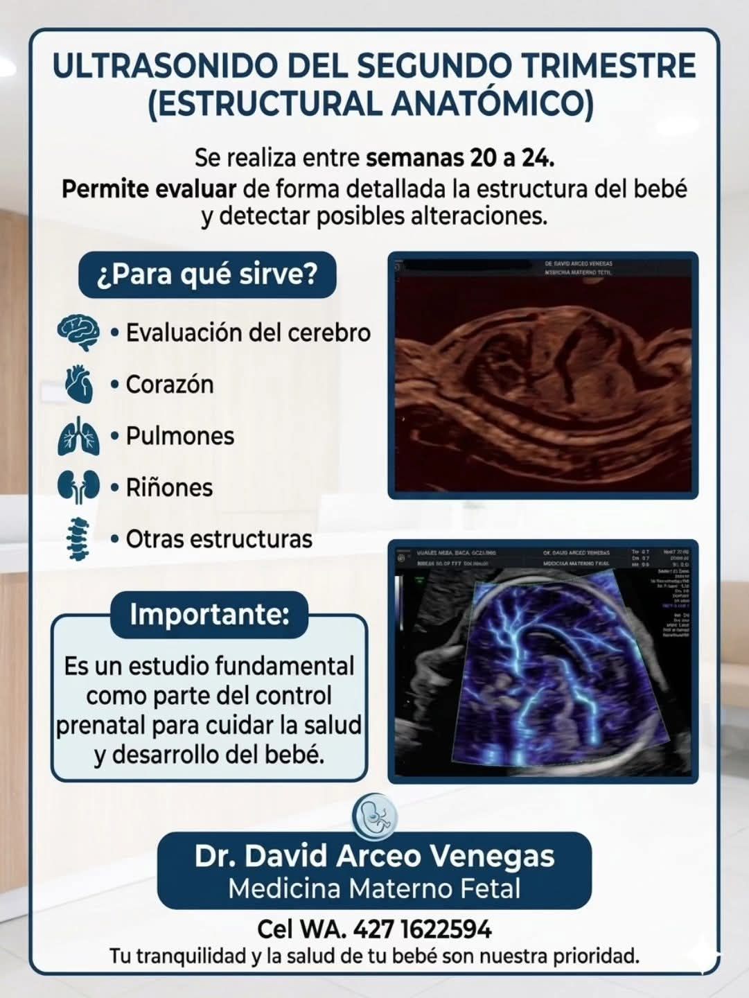 David Arceo Venegas-13