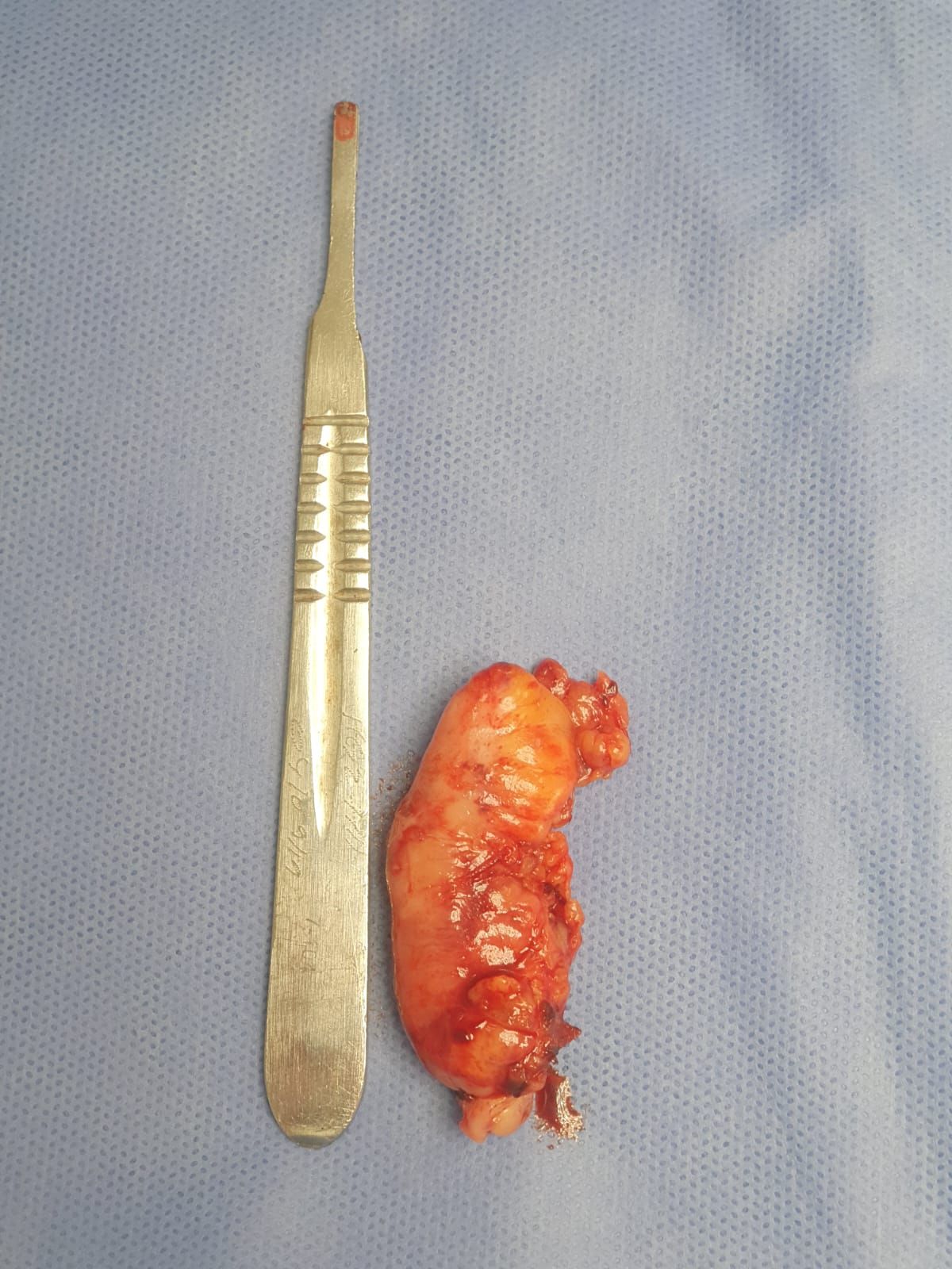 Marco Antonio Cantu Flores-5