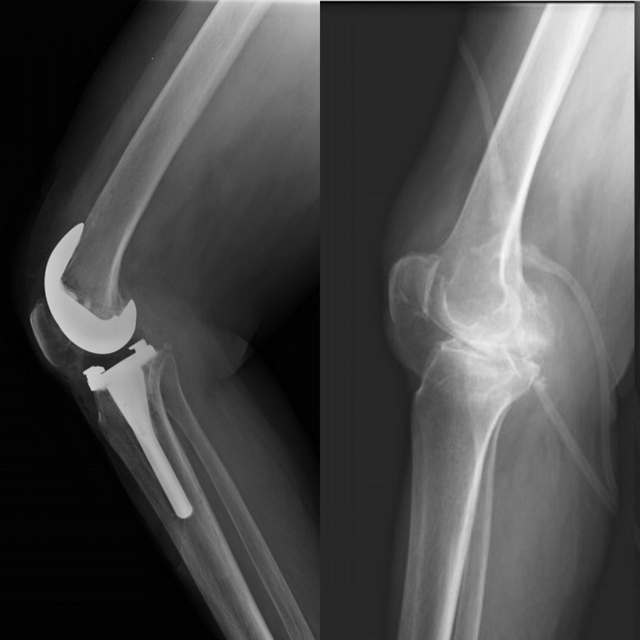 Alejandra Fuentes Martínez-6