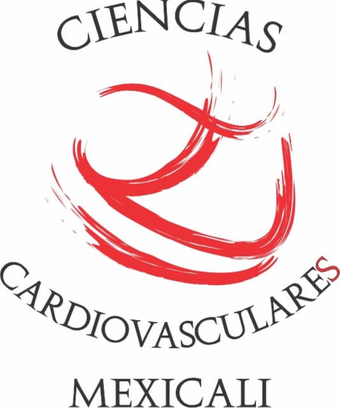 Carlos Arturo Anaya Morales-0