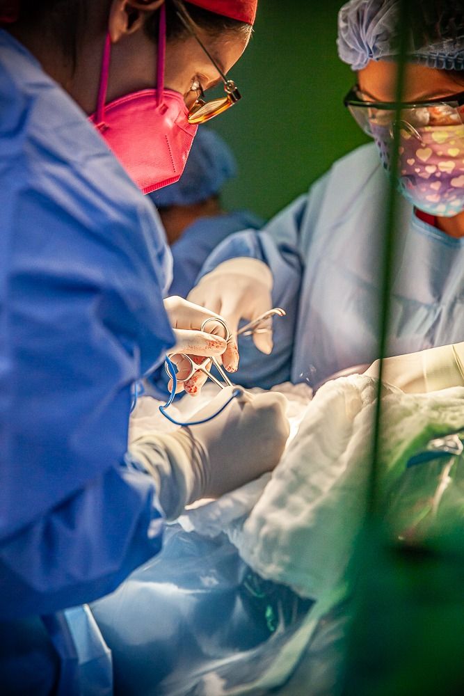 Gabriela Cabrera Lopez-5