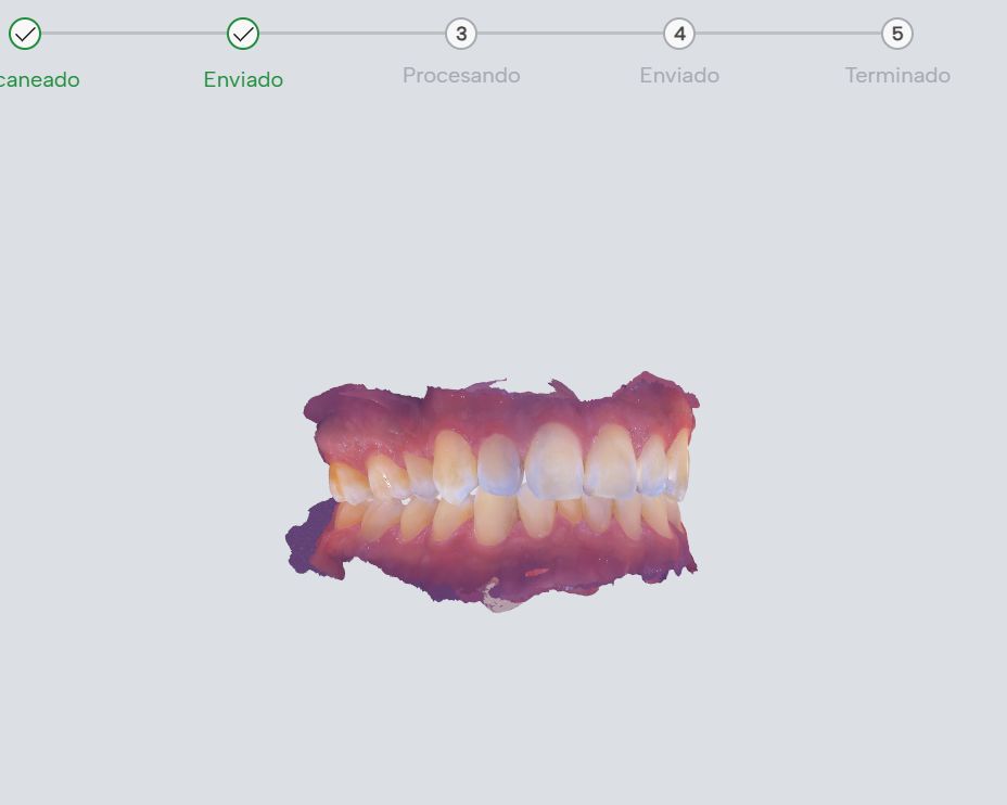 Isaura Tapia Pérez-2