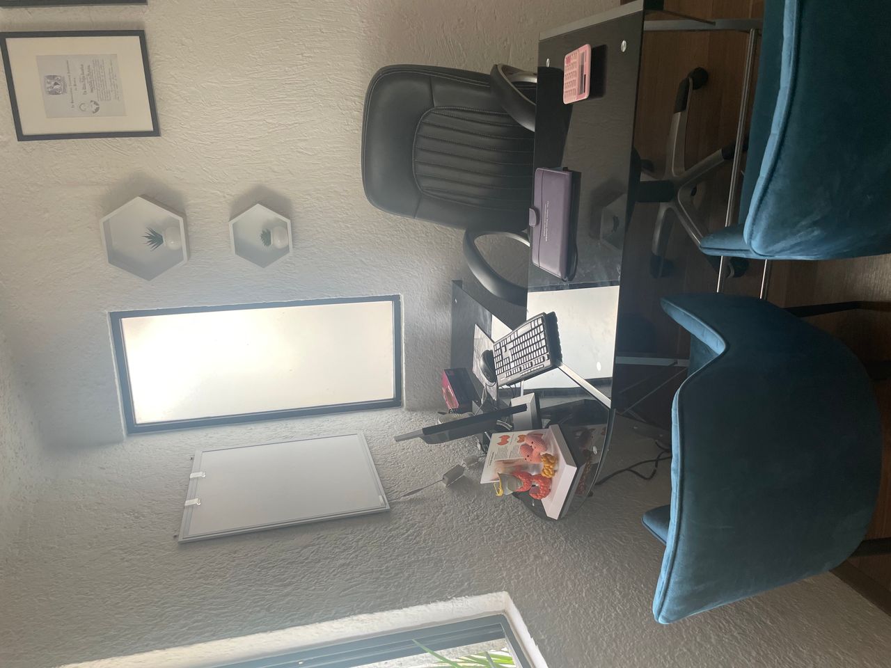 Alicia Rojas Zacarias-3