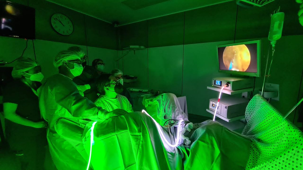 Irving Reyna Blanco-2