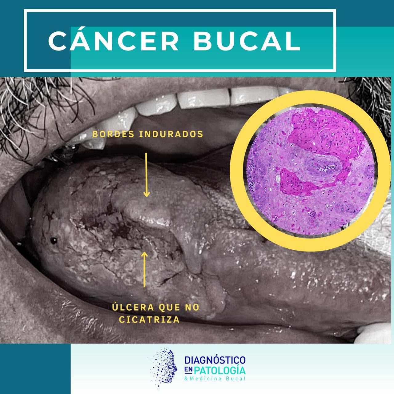 Jaqueline Rodríguez Hernández-25