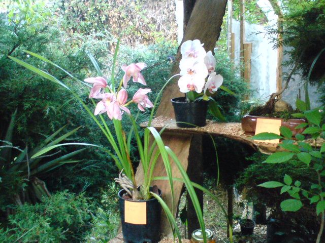 Horacio Contreras Colín-32