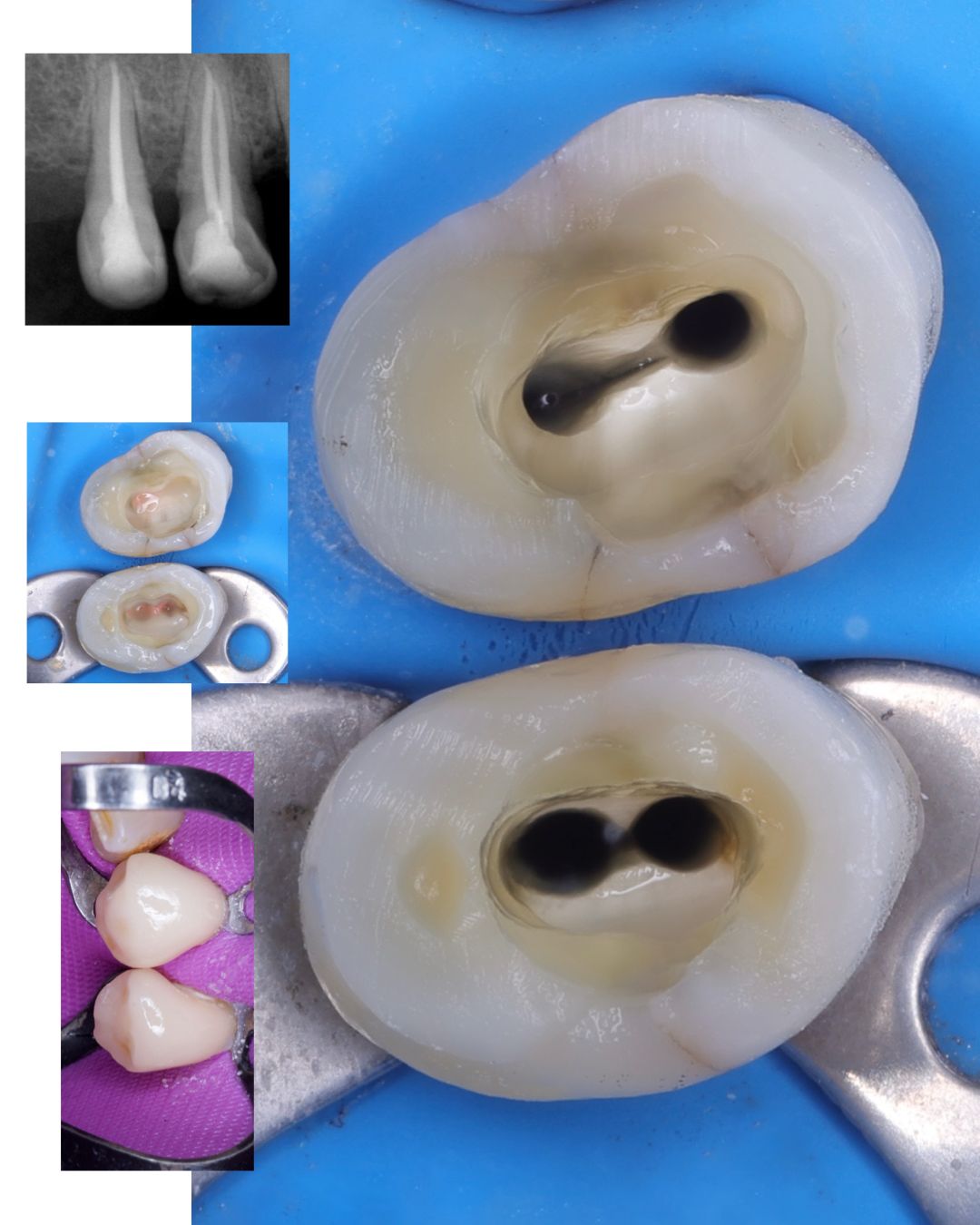 Marco Antonio Rodríguez-7