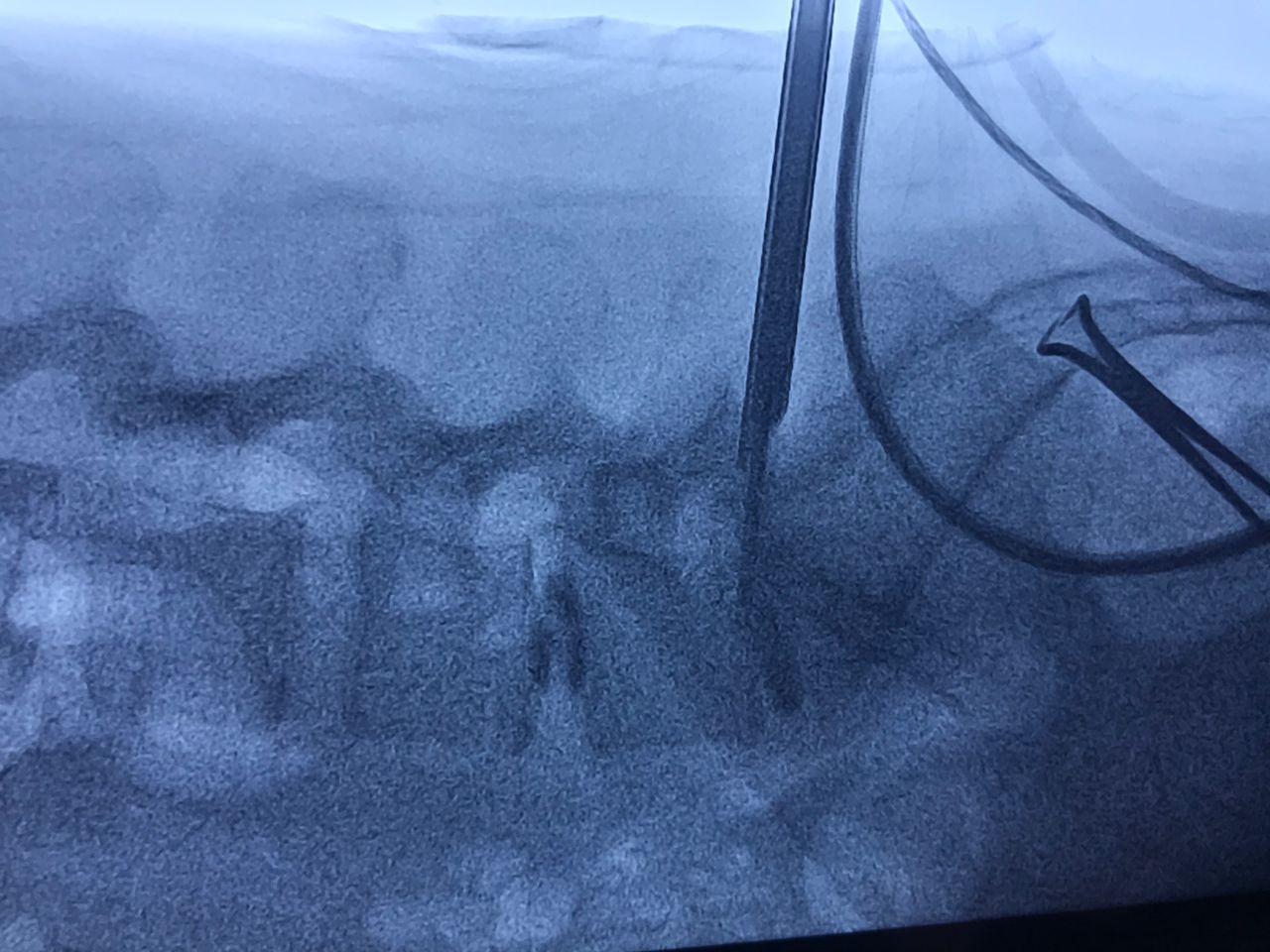 Luis Rodrigo Diaz Iñiguez-7