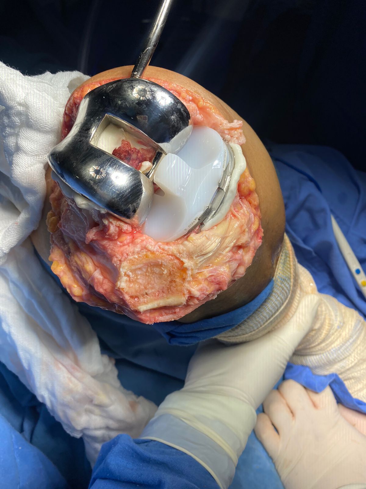 Carlos Horacio Sanchez Rodrigo-14