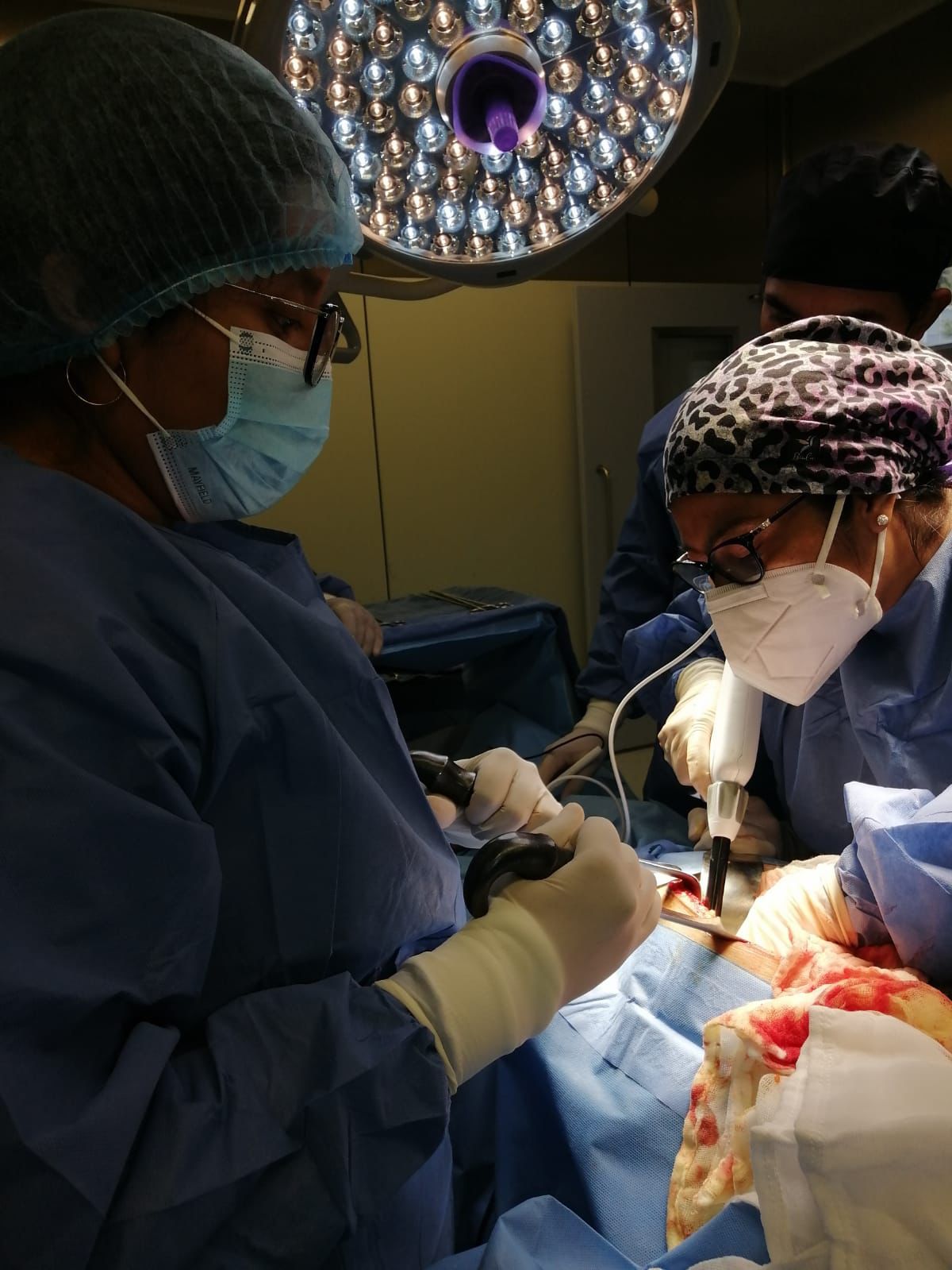 Barbara Guzman  Jiménez-8