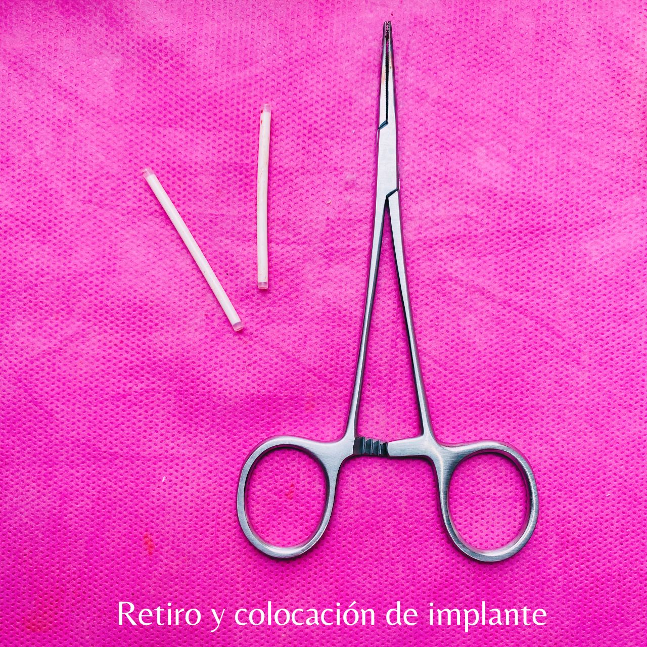 Ana Karen Castañeda Solis-7