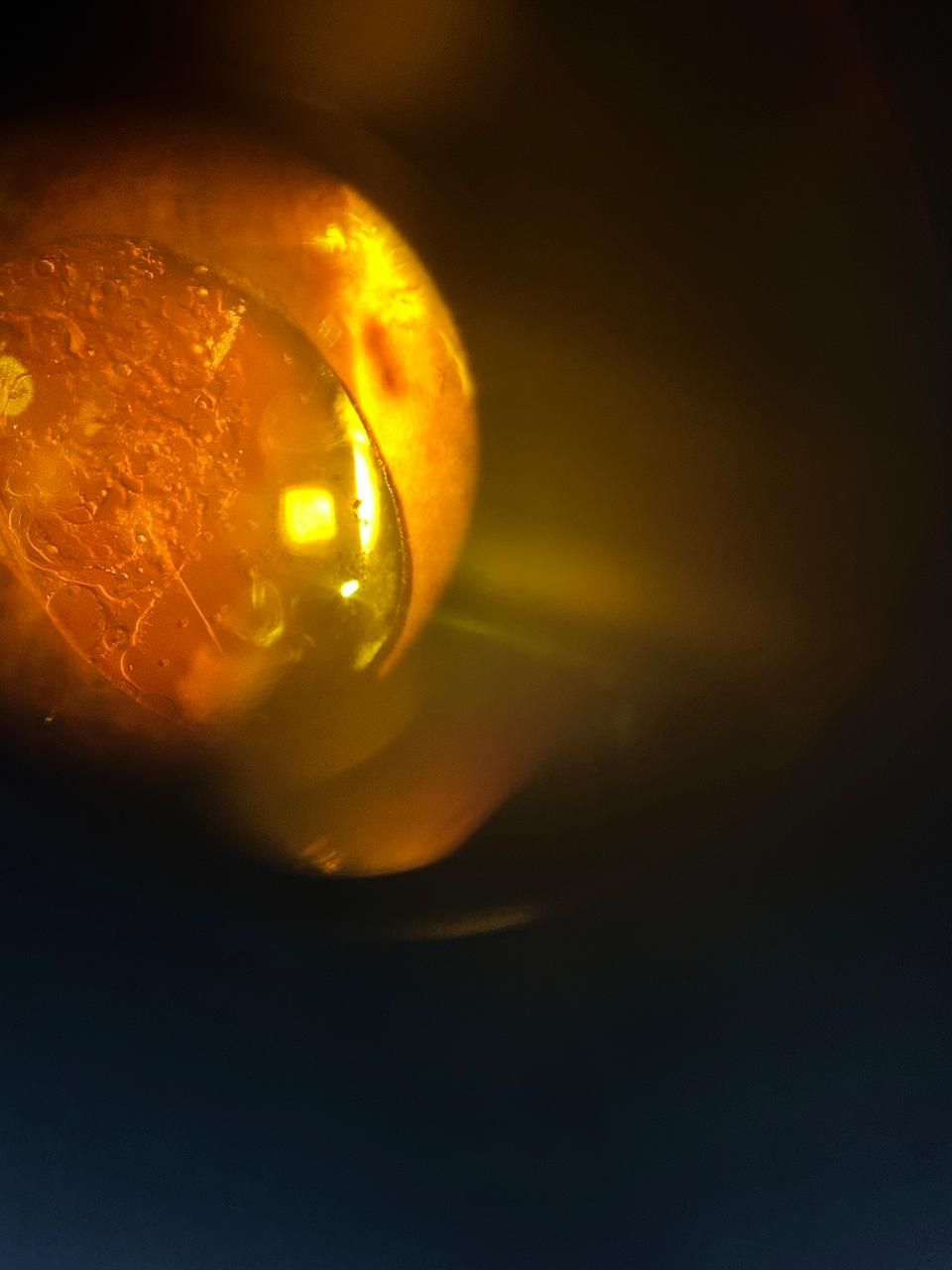 Daniel Martin Laguna Muñoz-28