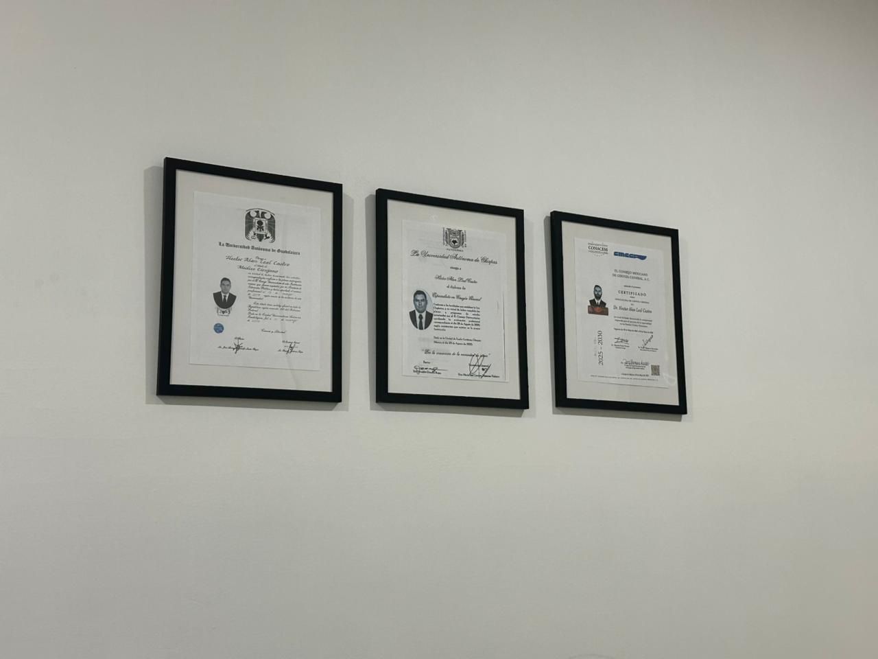 Hector Alan Leal Castro-5