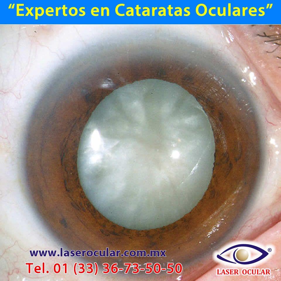 José Luis Salinas Gallegos-19