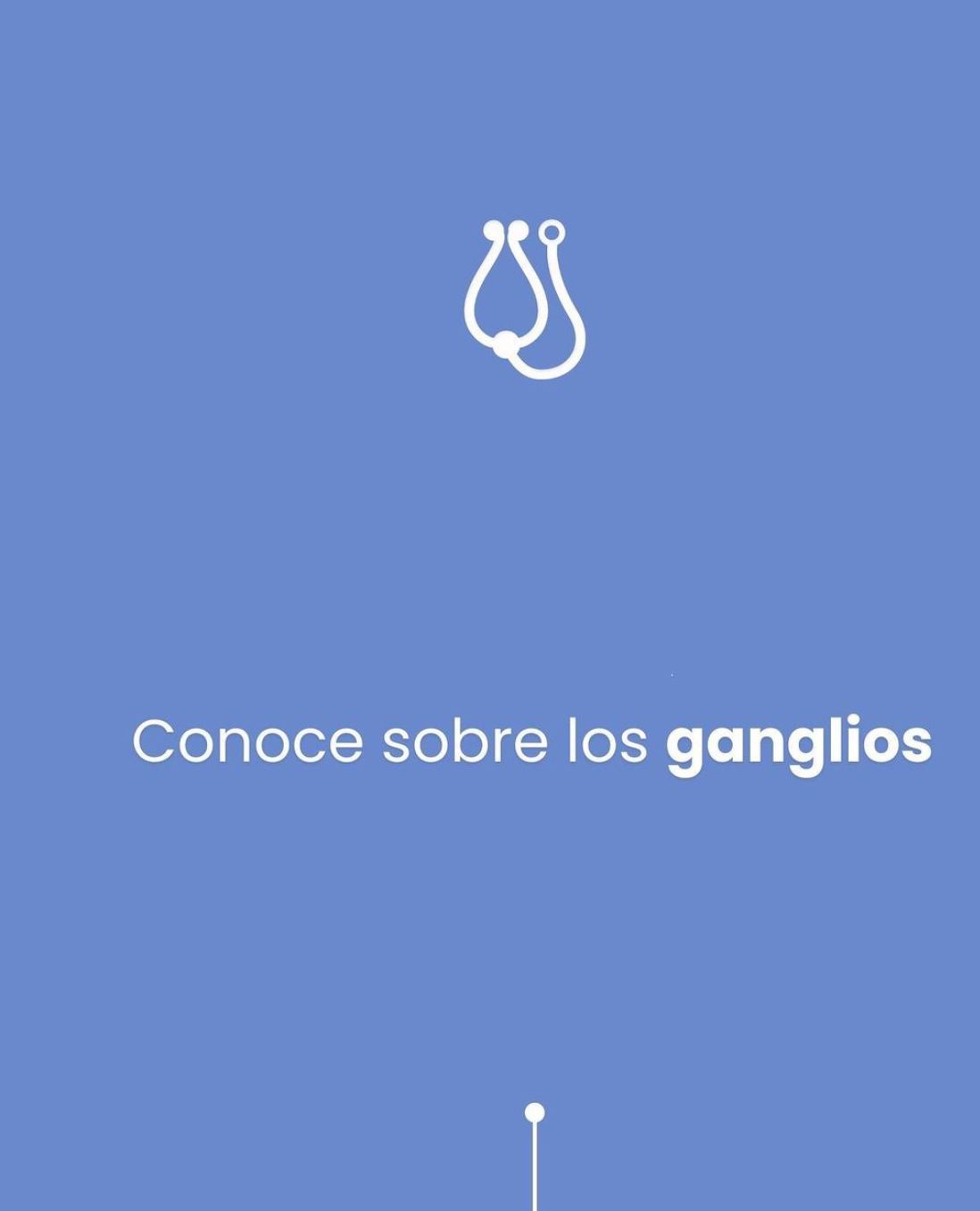 Karen Y. Flores Ordoñez-16