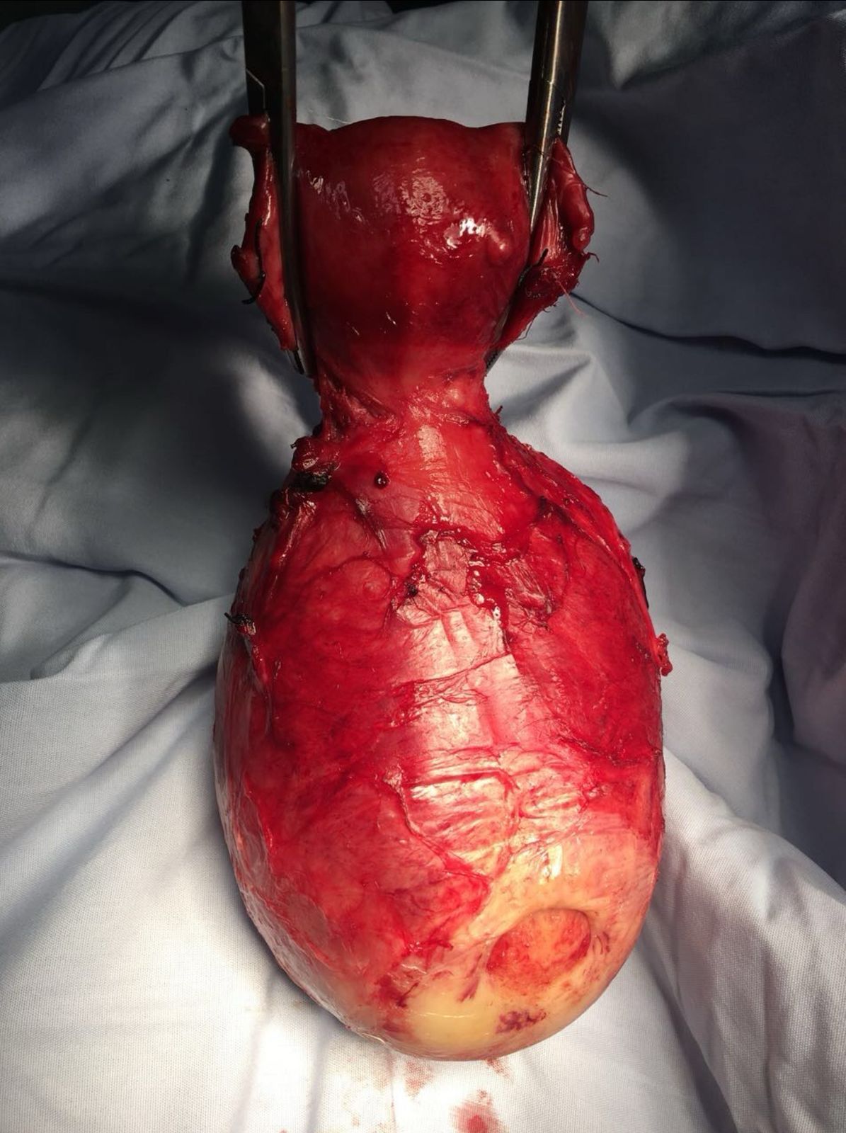 Juan Gabriel Nuño Nuño-4