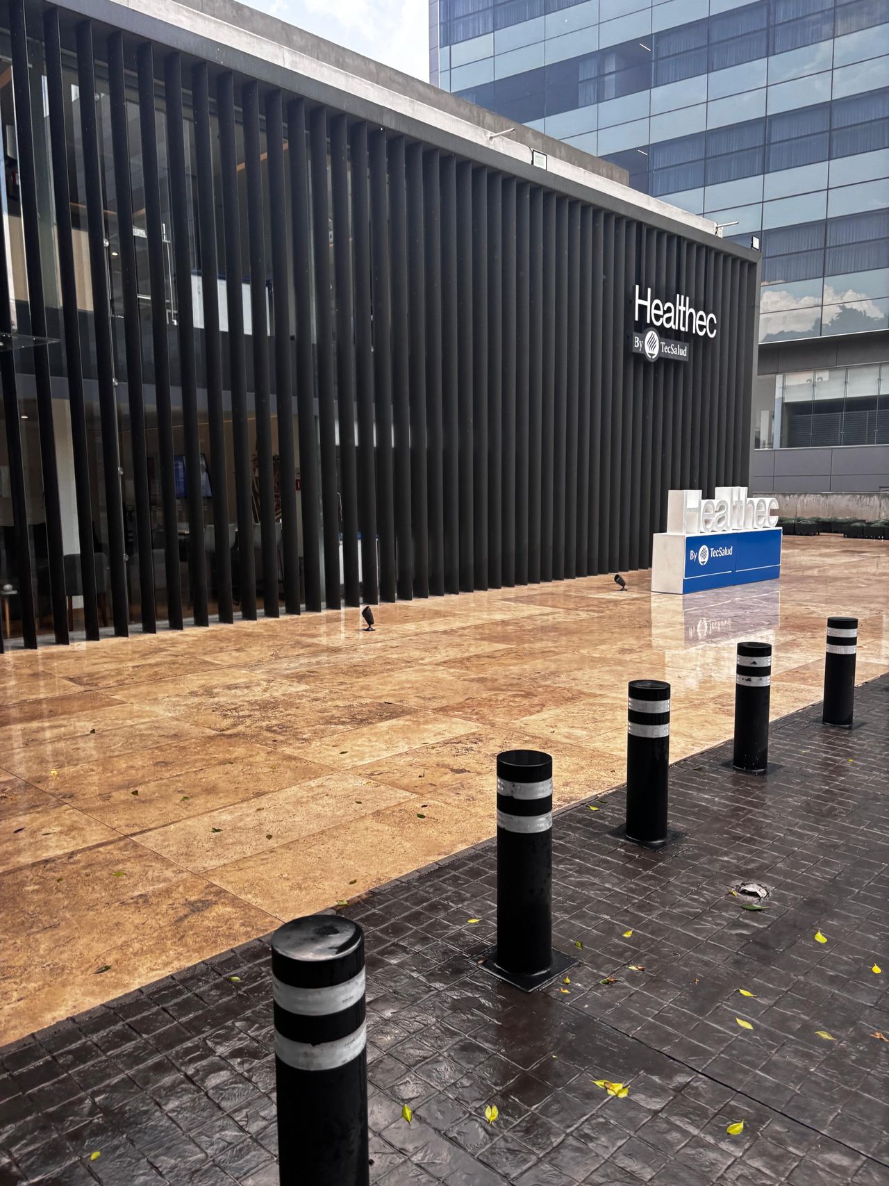 Erik Daniel Alvarez Sores-5