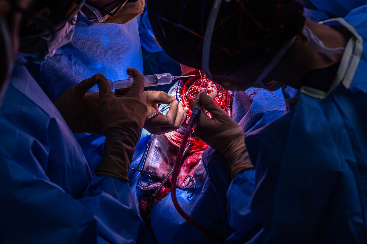 Celia Teresa De Jesús Álvarez Gamiño-4