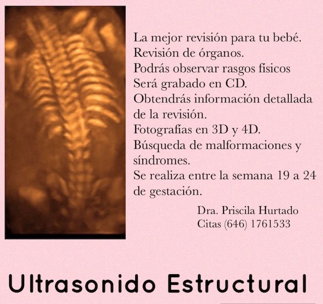 Priscila Hurtado Silvas-8