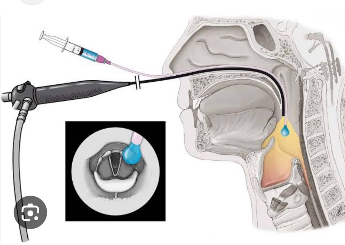 Maria Lidia Sánchez-11