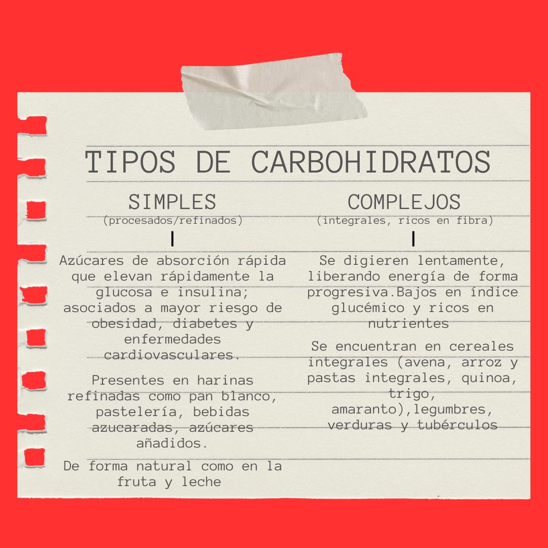 Manuel Josimar Hernández Castillo-14