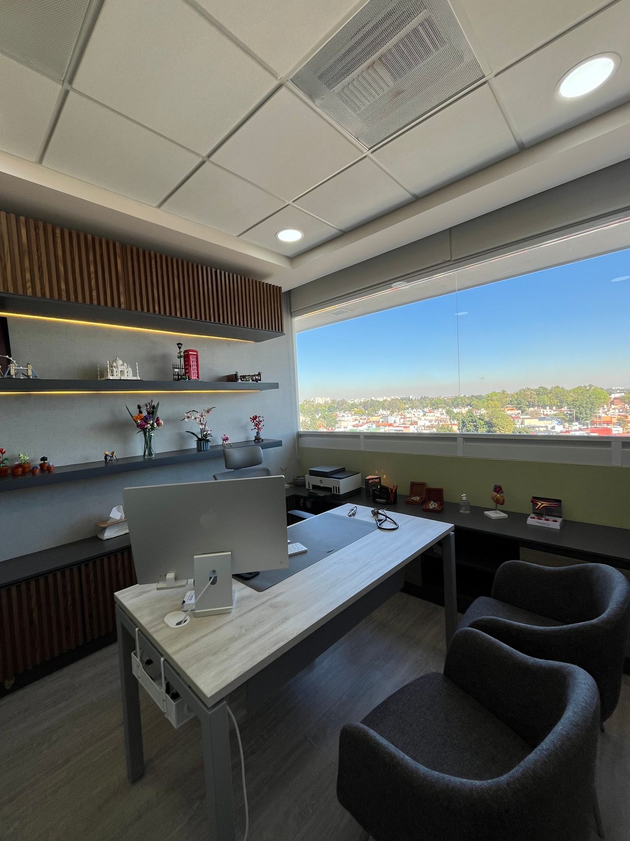 Cynthia Jackson Pedroza-1