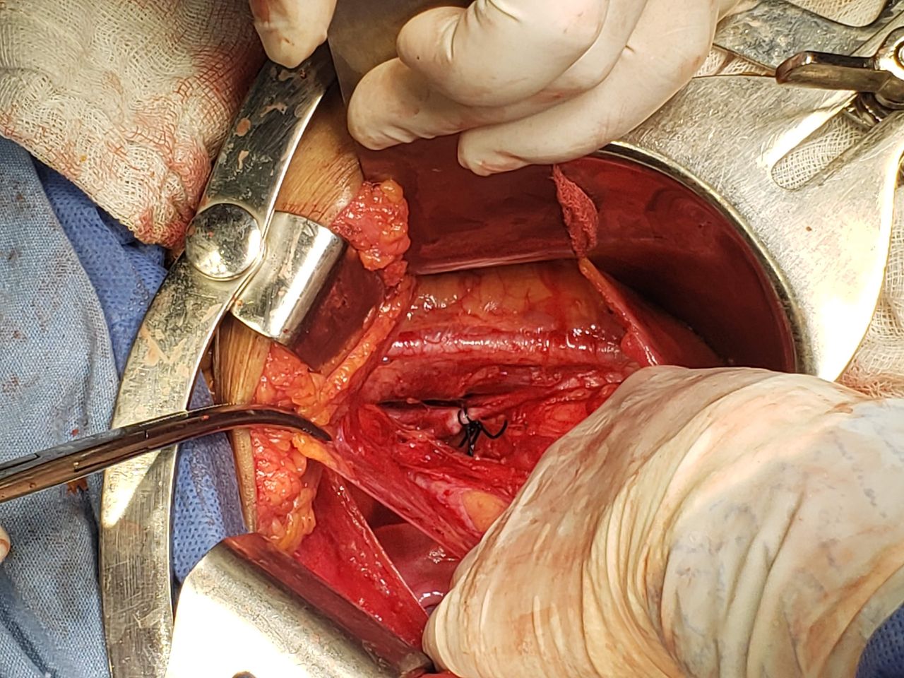 Marisol I. Alvarez Carrasco-18