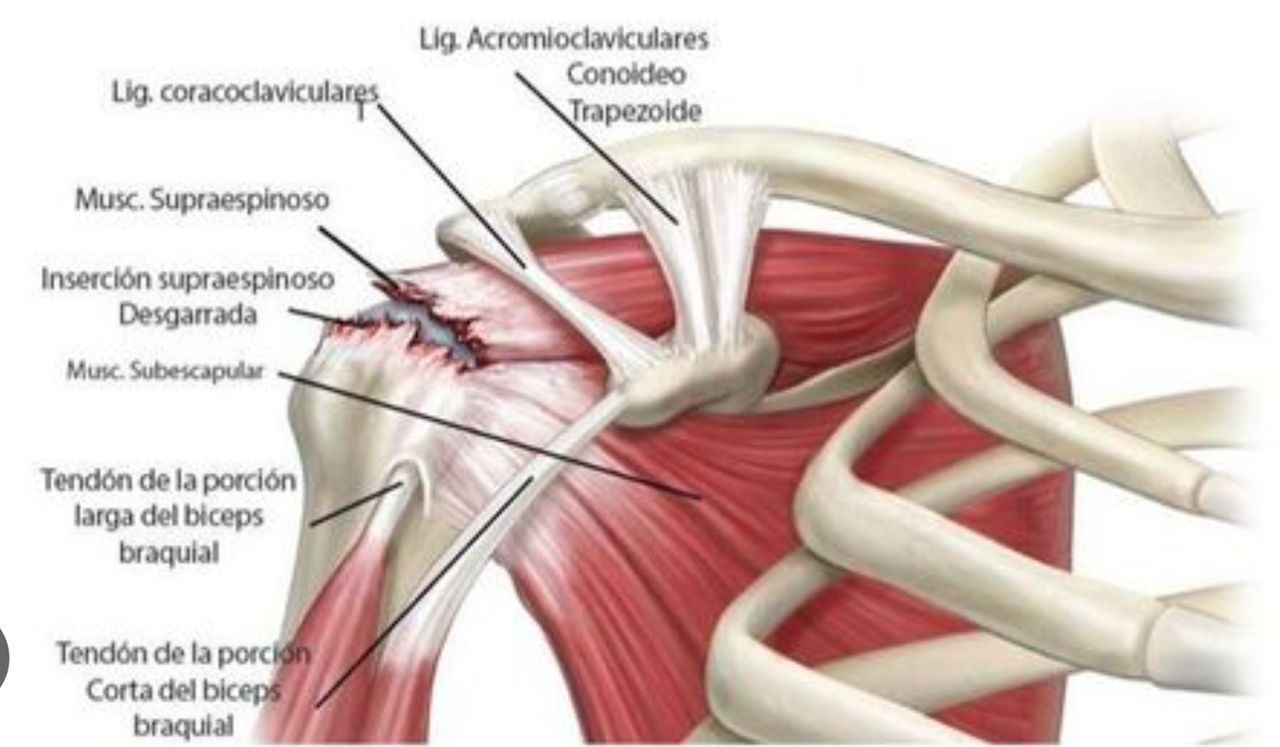 Javier Quintanilla Rivera-1